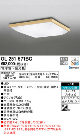 ODELIC �����ǥ�å� ������󥰥饤�� OL251571BC �ᥤ��̿�