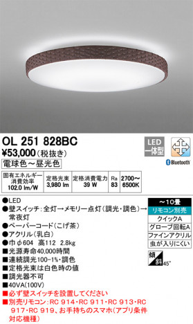 ODELIC �����ǥ�å� ������󥰥饤�� OL251828BC �ᥤ��̿�