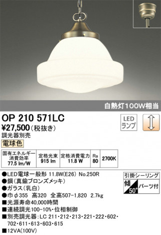 ODELIC �����ǥ�å� �ڥ����ȥ饤�� OP210571LC �ᥤ��̿�