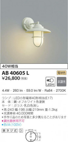 KOIZUMI �������߾��� �֥饱�å� AB40605L �ᥤ��̿�