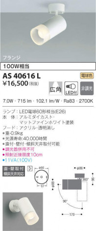 KOIZUMI �������߾��� ���ݥåȥ饤�� AS40616L �ᥤ��̿�