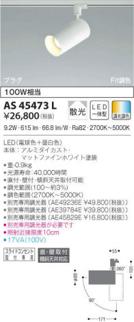 KOIZUMI �������߾��� ���ݥåȥ饤�� AS45473L �ᥤ��̿�