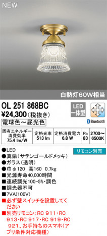 ODELIC �����ǥ�å� ����������󥰥饤�� OL251868BC �ᥤ��̿�