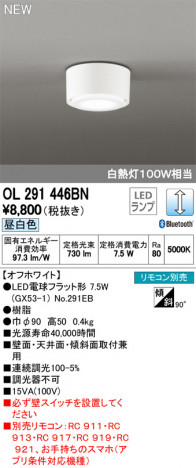 ODELIC �����ǥ�å� ����������󥰥饤�� OL291446BN �ᥤ��̿�