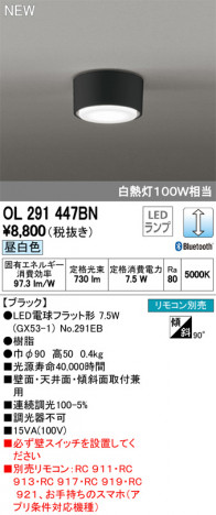 ODELIC �����ǥ�å� ����������󥰥饤�� OL291447BN �ᥤ��̿�