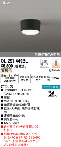 ODELIC �����ǥ�å� ����������󥰥饤�� OL291449BL �ᥤ��̿�