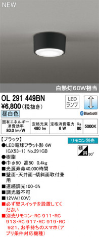 ODELIC �����ǥ�å� ����������󥰥饤�� OL291449BN �ᥤ��̿�