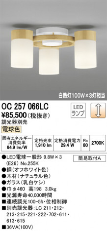 ODELIC �����ǥ�å� �����ǥꥢ OC257066LC �ᥤ��̿�