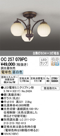 ODELIC �����ǥ�å� �����ǥꥢ OC257079PC �ᥤ��̿�