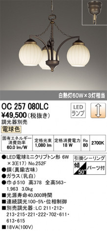 ODELIC �����ǥ�å� �����ǥꥢ OC257080LC �ᥤ��̿�