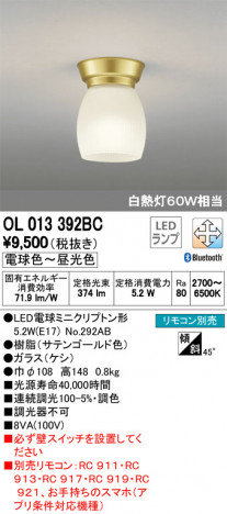 ODELIC �����ǥ�å� ����������󥰥饤�� OL013392BC �ᥤ��̿�