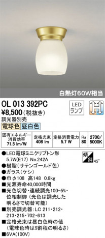 ODELIC �����ǥ�å� ����������󥰥饤�� OL013392PC �ᥤ��̿�