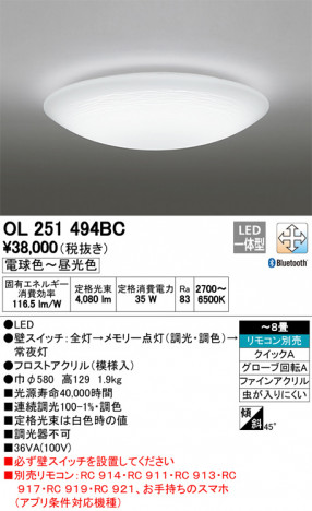 ODELIC �����ǥ�å� ������󥰥饤�� OL251494BC �ᥤ��̿�