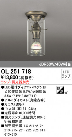 ODELIC �����ǥ�å� ����������󥰥饤�� OL251718 �ᥤ��̿�