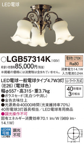 Panasonic �����ǥꥢ LGB57314K �ᥤ��̿�