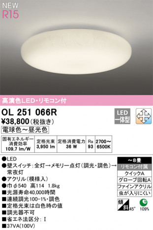 ODELIC ǥå 󥰥饤 OL251066R ᥤ̿