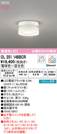 ODELIC �����ǥ�å� ����������󥰥饤�� OL251146BCR �ᥤ��̿�