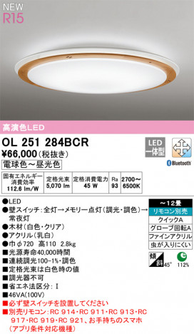 ODELIC �����ǥ�å� ������󥰥饤�� OL251284BCR �ᥤ��̿�