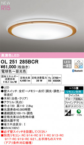 ODELIC �����ǥ�å� ������󥰥饤�� OL251285BCR �ᥤ��̿�