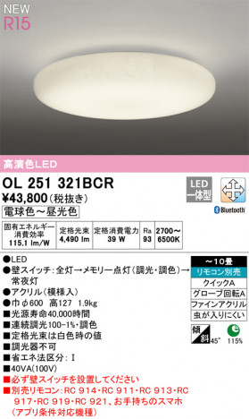 ODELIC �����ǥ�å� ������󥰥饤�� OL251321BCR �ᥤ��̿�