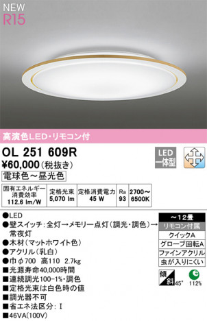 ODELIC �����ǥ�å� ������󥰥饤�� OL251609R �ᥤ��̿�