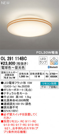 ODELIC �����ǥ�å� ����������󥰥饤�� OL291114BC �ᥤ��̿�