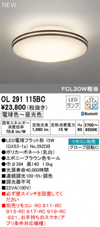 ODELIC �����ǥ�å� ����������󥰥饤�� OL291115BC �ᥤ��̿�