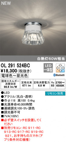 ODELIC �����ǥ�å� ����������󥰥饤�� OL291524BC �ᥤ��̿�