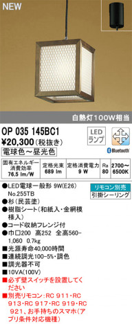 ODELIC �����ǥ�å� �ڥ����ȥ饤�� OP035145BC1 �ᥤ��̿�