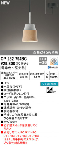 ODELIC �����ǥ�å� �ڥ����ȥ饤�� OP252794BC �ᥤ��̿�