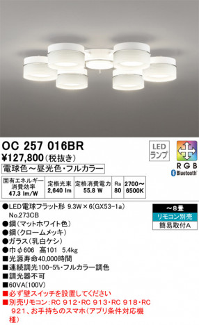 ODELIC �����ǥ�å� �����ǥꥢ OC257016BR �ᥤ��̿�