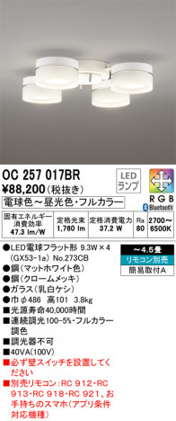 ODELIC �����ǥ�å� �����ǥꥢ OC257017BR �ᥤ��̿�