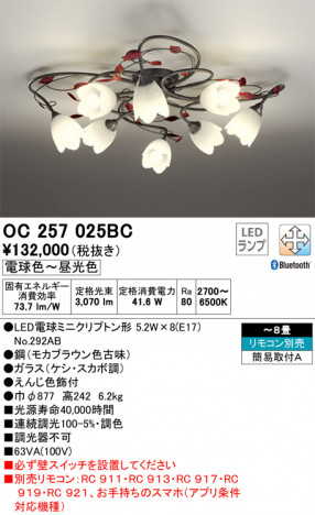 ODELIC �����ǥ�å� �����ǥꥢ OC257025BC �ᥤ��̿�