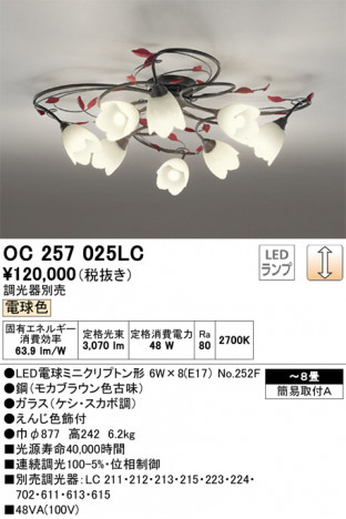 ODELIC �����ǥ�å� �����ǥꥢ OC257025LC �ᥤ��̿�