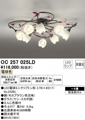 ODELIC �����ǥ�å� �����ǥꥢ OC257025LD �ᥤ��̿�