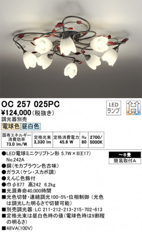 ODELIC �����ǥ�å� �����ǥꥢ OC257025PC �ᥤ��̿�