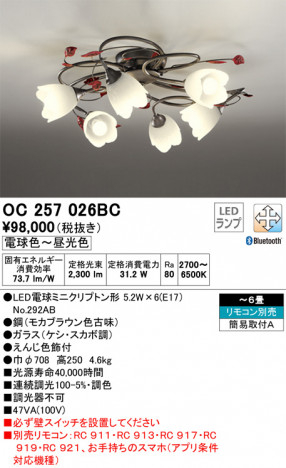 ODELIC �����ǥ�å� �����ǥꥢ OC257026BC �ᥤ��̿�