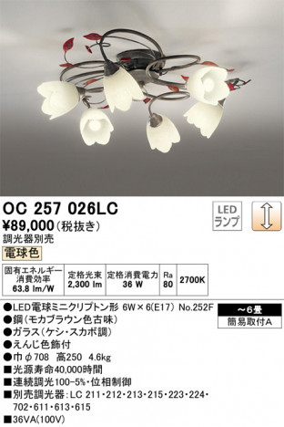 ODELIC �����ǥ�å� �����ǥꥢ OC257026LC �ᥤ��̿�