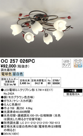 ODELIC �����ǥ�å� �����ǥꥢ OC257026PC �ᥤ��̿�