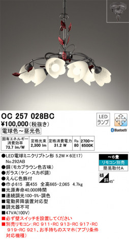 ODELIC �����ǥ�å� �����ǥꥢ OC257028BC �ᥤ��̿�