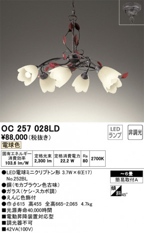 ODELIC �����ǥ�å� �����ǥꥢ OC257028LD �ᥤ��̿�