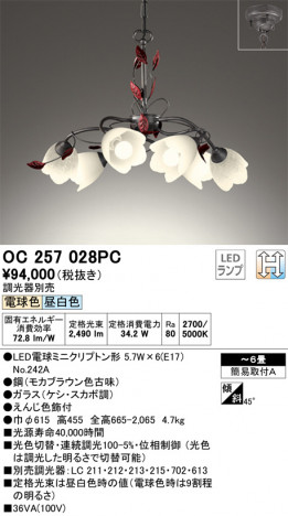 ODELIC �����ǥ�å� �����ǥꥢ OC257028PC �ᥤ��̿�