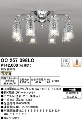 ODELIC �����ǥ�å� �����ǥꥢ OC257098LC �ᥤ��̿�