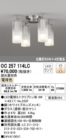 ODELIC �����ǥ�å� �����ǥꥢ OC257114LC �ᥤ��̿�