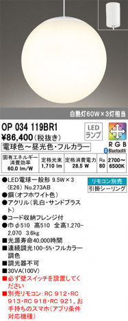 ODELIC �����ǥ�å� ��ȴ������ OP034119BR1 �ᥤ��̿�