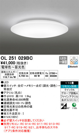 ODELIC �����ǥ�å� ������󥰥饤�� OL251029BC �ᥤ��̿�