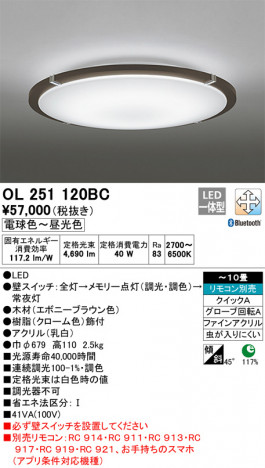 ODELIC �����ǥ�å� ������󥰥饤�� OL251120BC �ᥤ��̿�