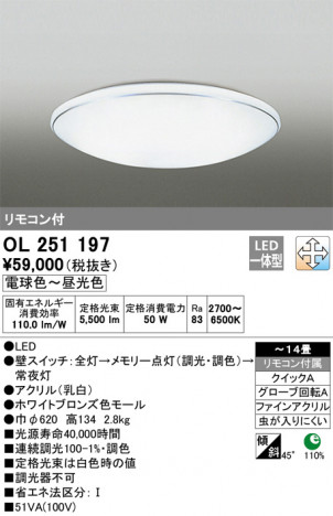 ODELIC �����ǥ�å� ������󥰥饤�� OL251197 �ᥤ��̿�