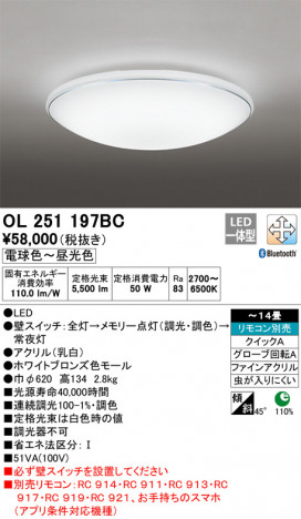 ODELIC �����ǥ�å� ������󥰥饤�� OL251197BC �ᥤ��̿�