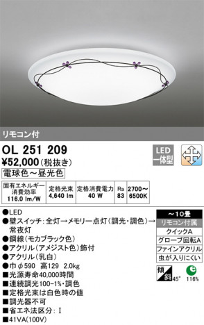 ODELIC �����ǥ�å� ������󥰥饤�� OL251209 �ᥤ��̿�